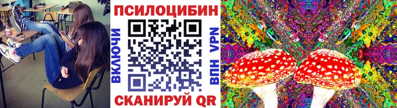 купить наркоту  Лениногорск  Псилоцибиновые грибы Cubensis 