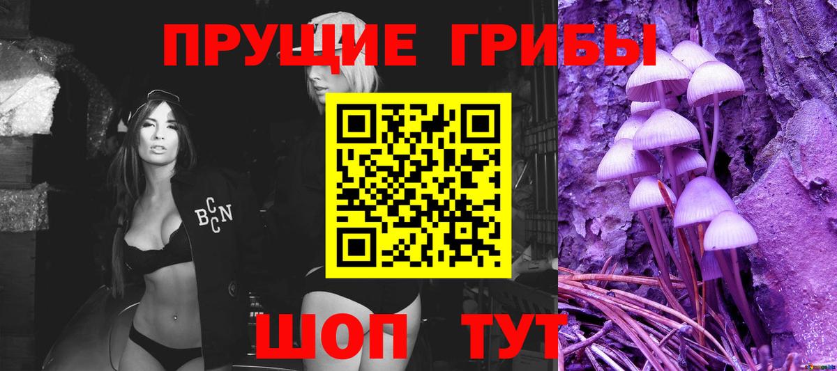 Лениногорск  Галлюциногенные грибы прущие грибы  Вход с VPN 